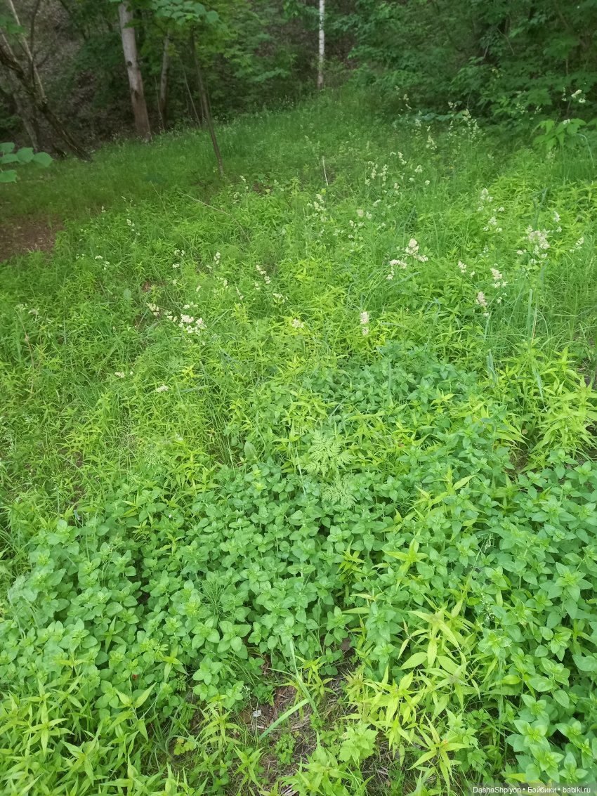 Прогулка возле набережной ☀️⭐🌿