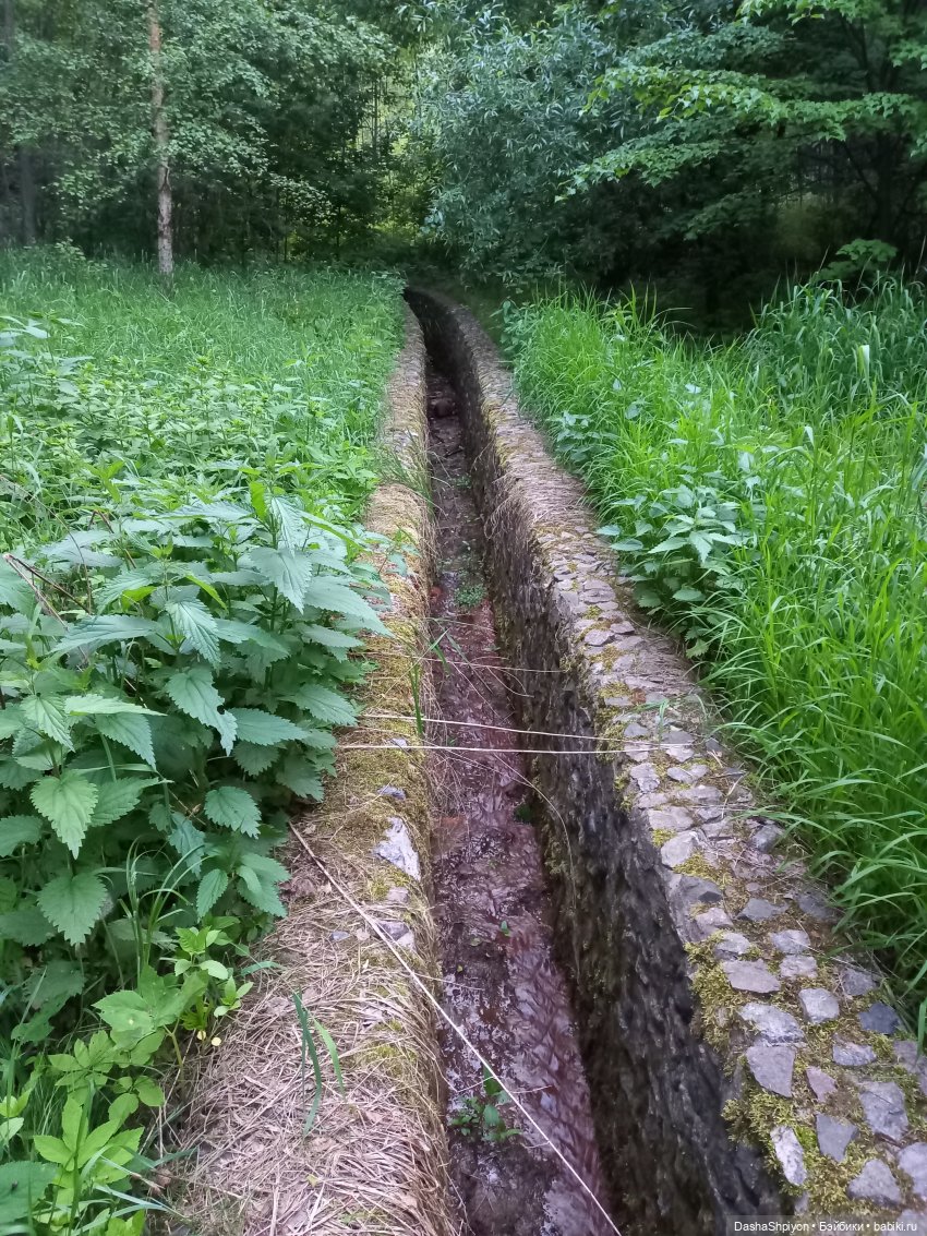 Прогулка возле набережной ☀️⭐🌿