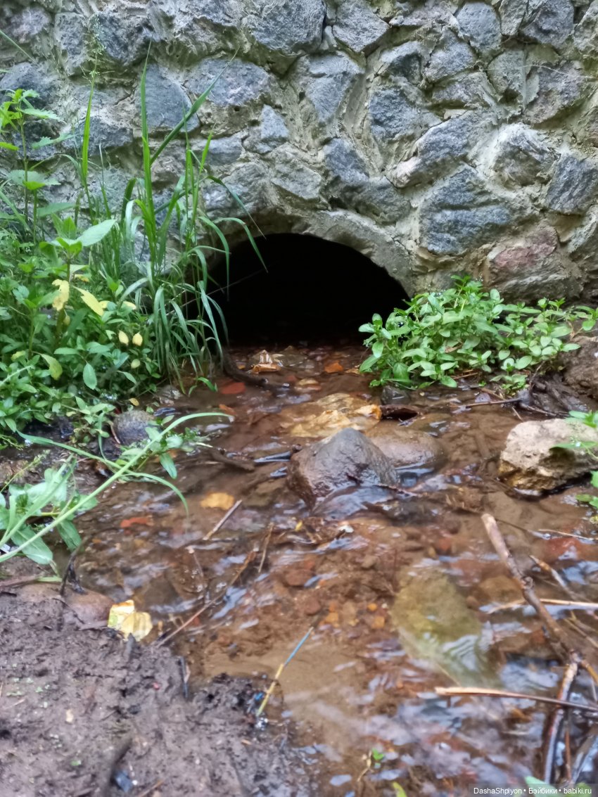 Прогулка возле набережной ☀️⭐🌿