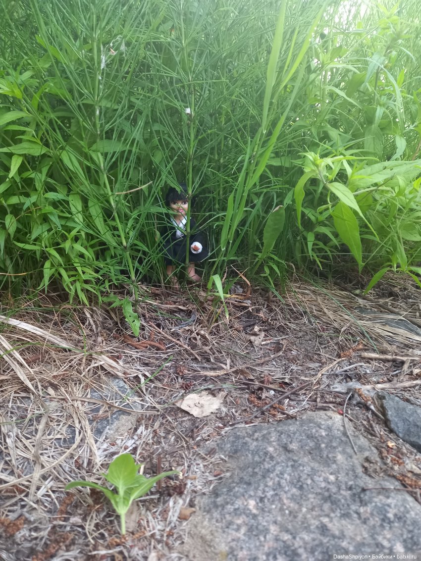 Прогулка возле набережной ☀️⭐🌿