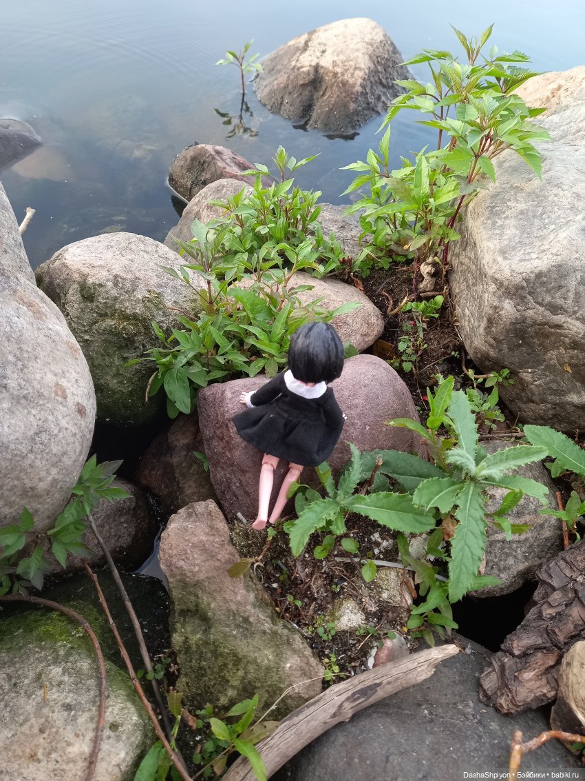 Прогулка возле набережной ☀️⭐🌿