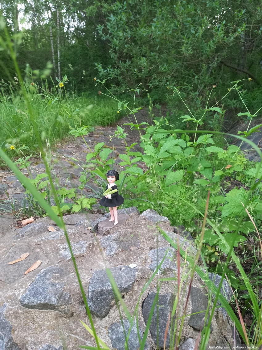 Прогулка возле набережной ☀️⭐🌿