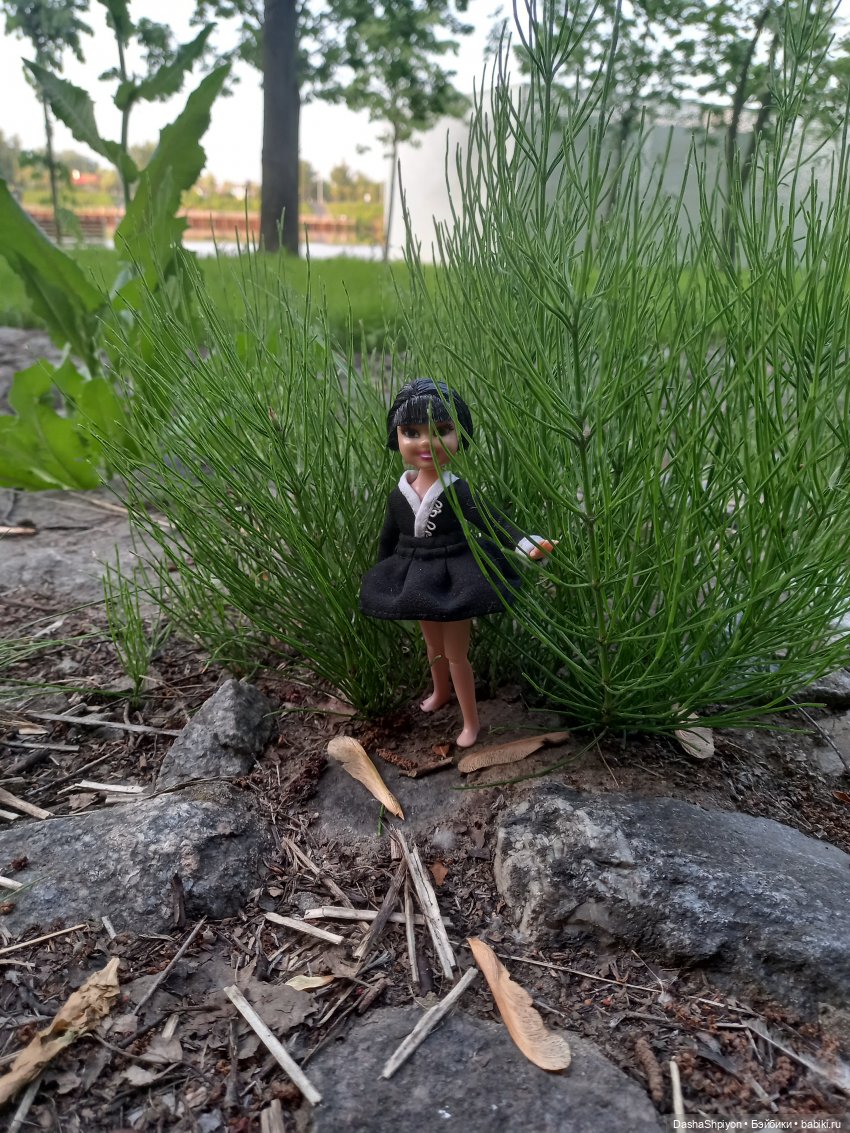 Прогулка возле набережной ☀️⭐🌿