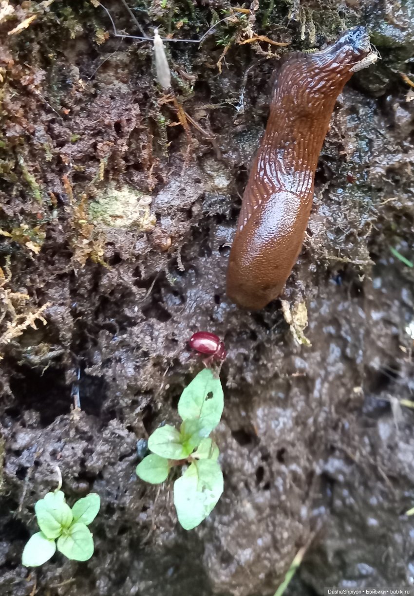 Прогулка возле набережной ☀️⭐🌿