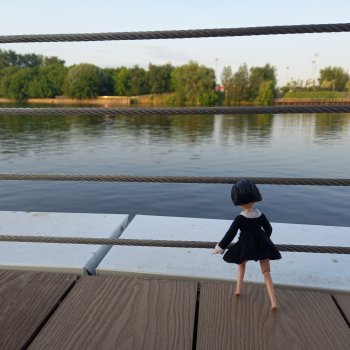 Прогулка возле набережной ☀️⭐🌿