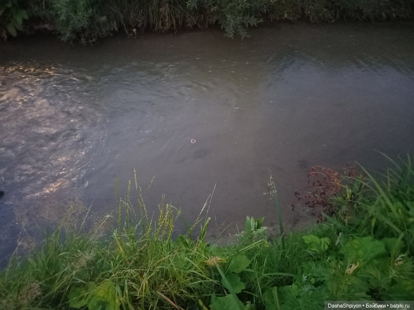 💐Венки и немного июльского урожая 🌾