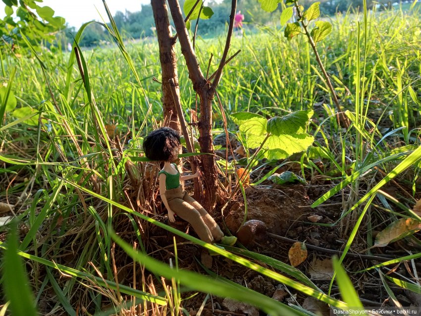 Небольшая разведка и шалаш 🌳🪵🌿 (фото 5)