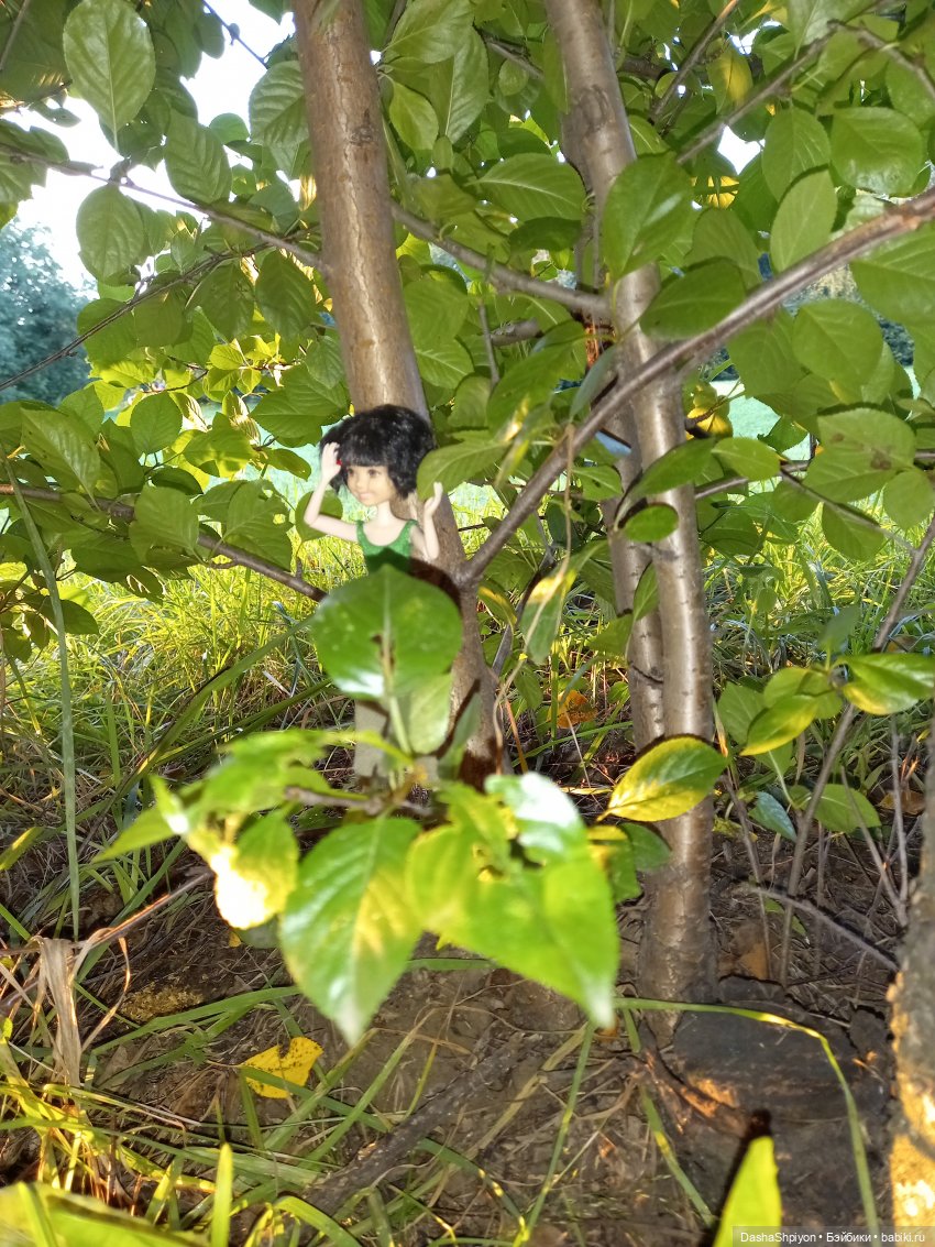 Небольшая разведка и шалаш 🌳🪵🌿 (фото 10)