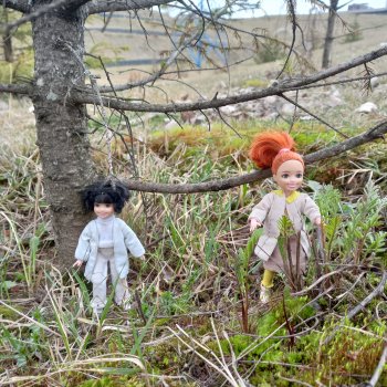 🌱Апрельская прогулка возле ёлочек🌲🌼