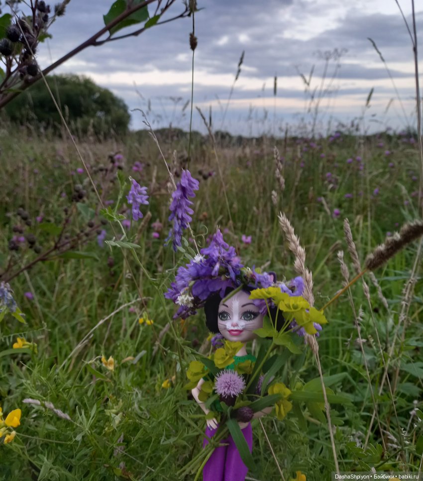 Гибрид энчантималс на теле пижамных принцесс 👸🏻 (фото 5)