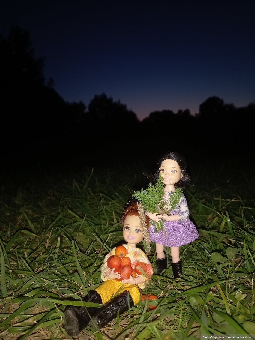 Как добраться до дворца 😄⭐🌌 (фото 2)