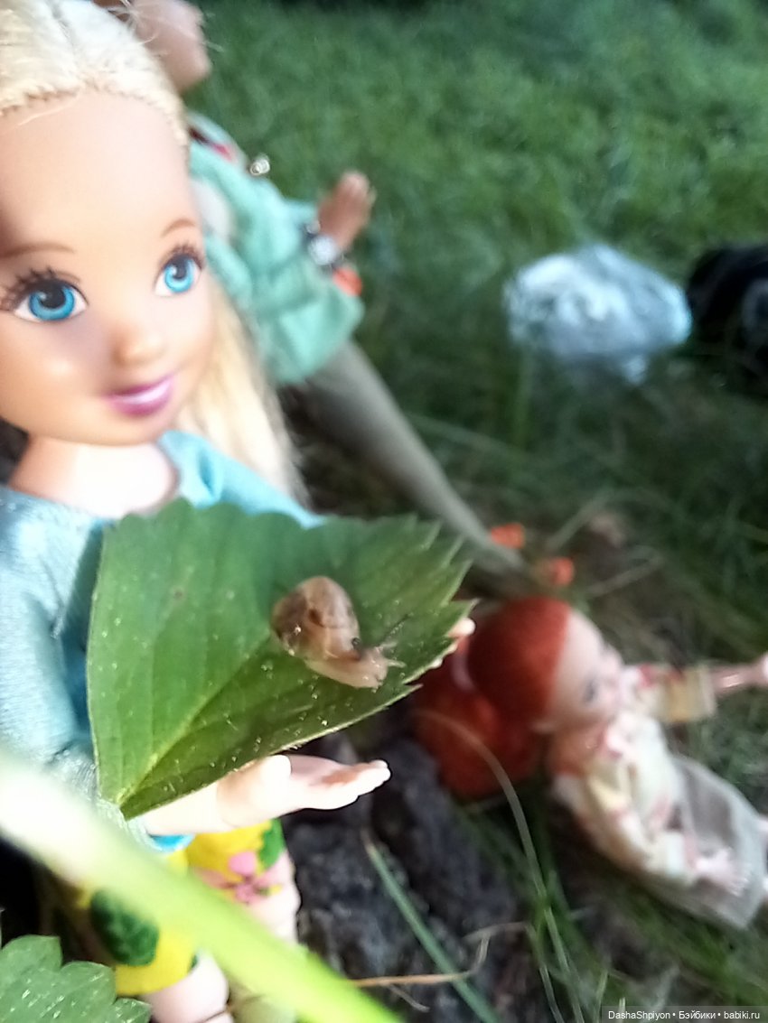 Последние летние дни ☀️🍎🍂