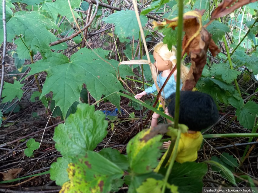 Последние летние дни ☀️🍎🍂