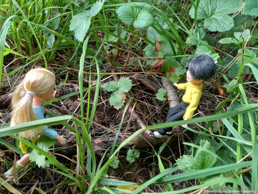 Последние летние дни ☀️🍎🍂