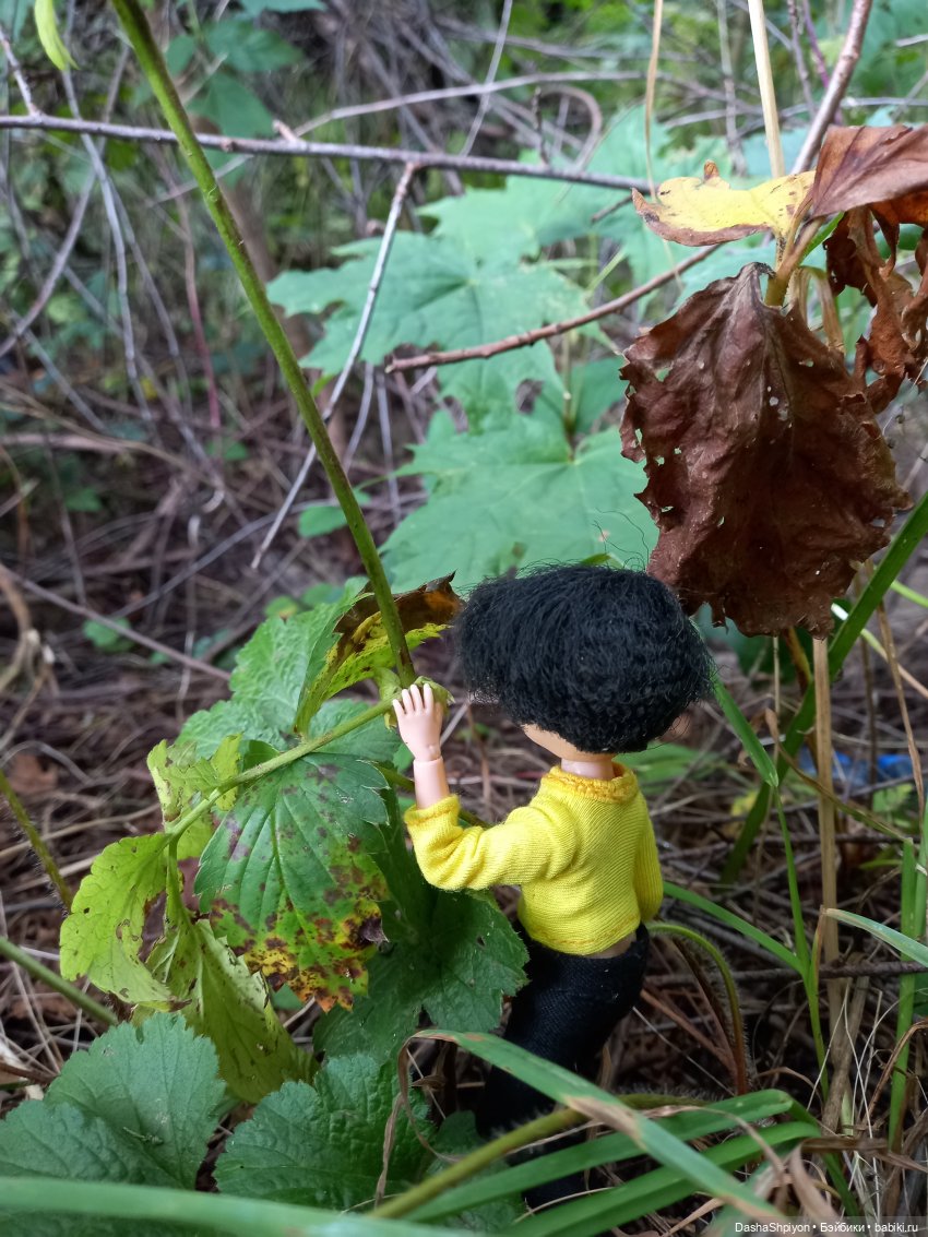 Последние летние дни ☀️🍎🍂