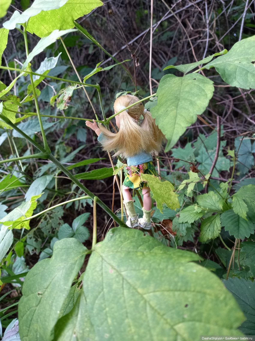 Последние летние дни ☀️🍎🍂