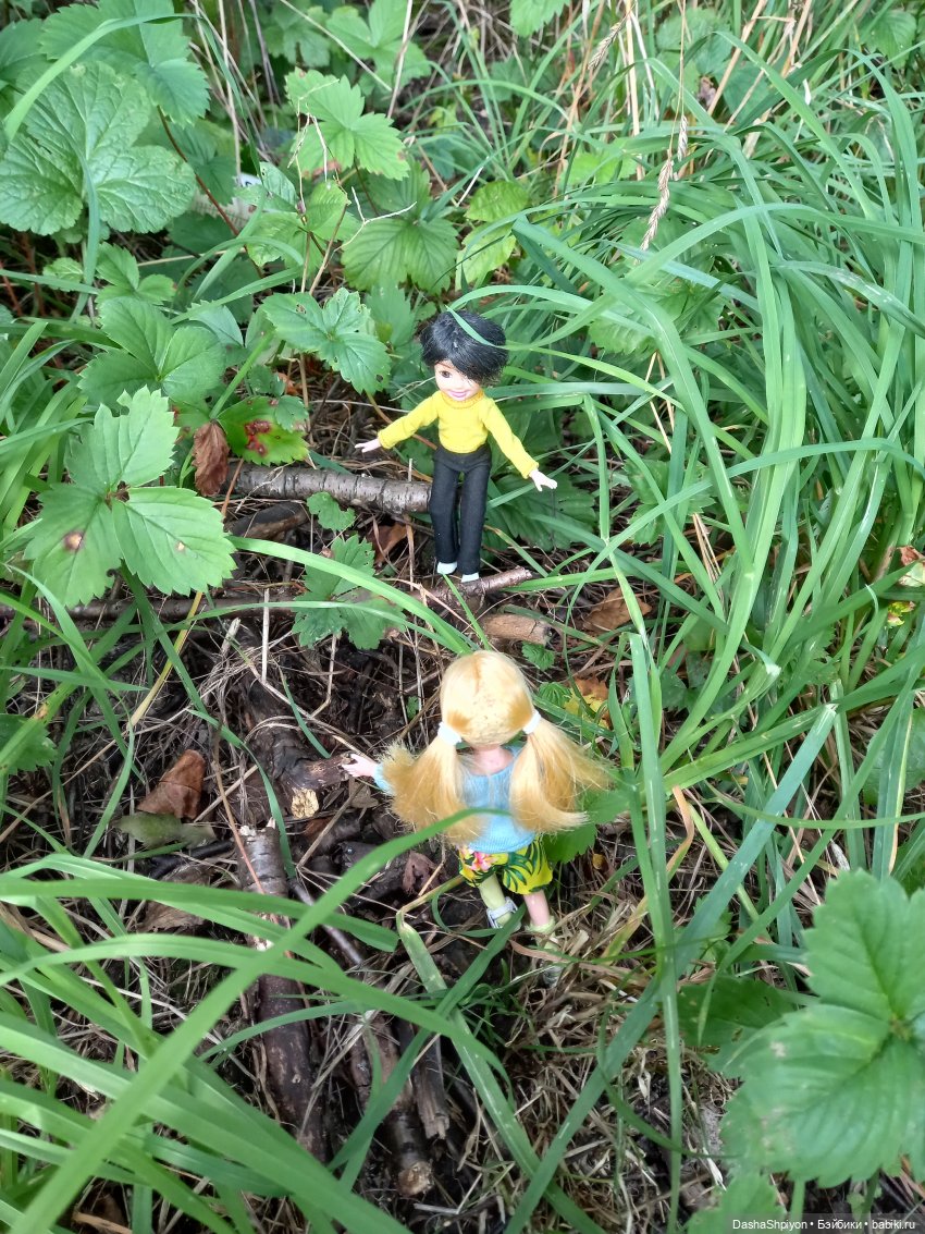 Последние летние дни ☀️🍎🍂