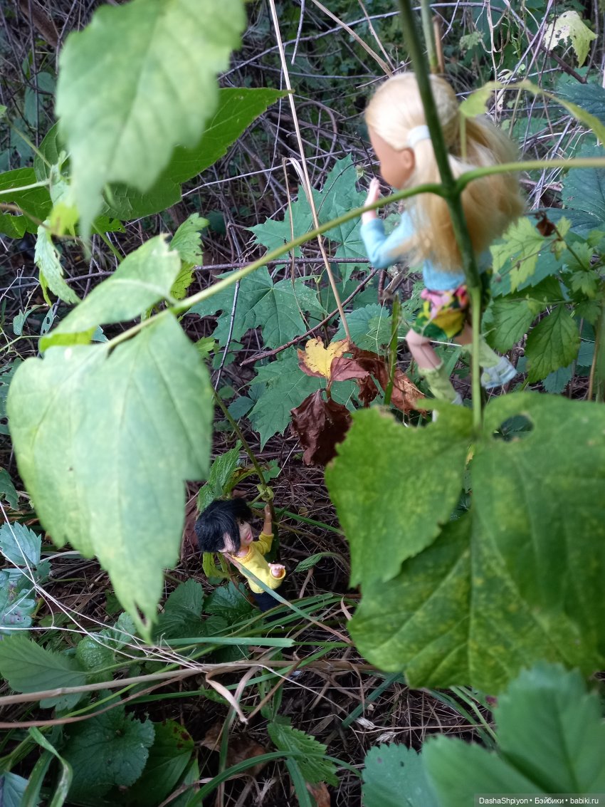 Последние летние дни ☀️🍎🍂