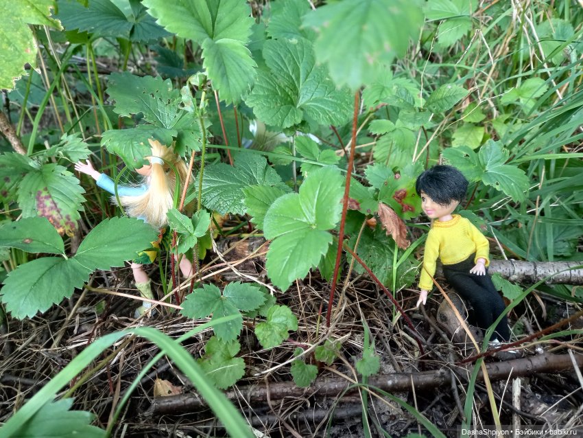 Последние летние дни ☀️🍎🍂