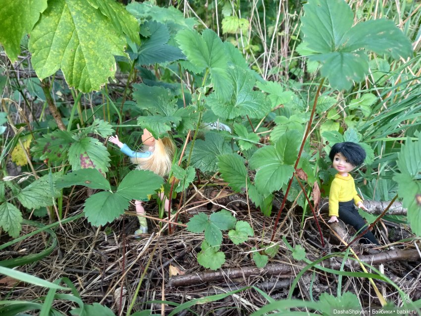 Последние летние дни ☀️🍎🍂