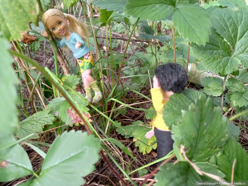 Последние летние дни ☀️🍎🍂