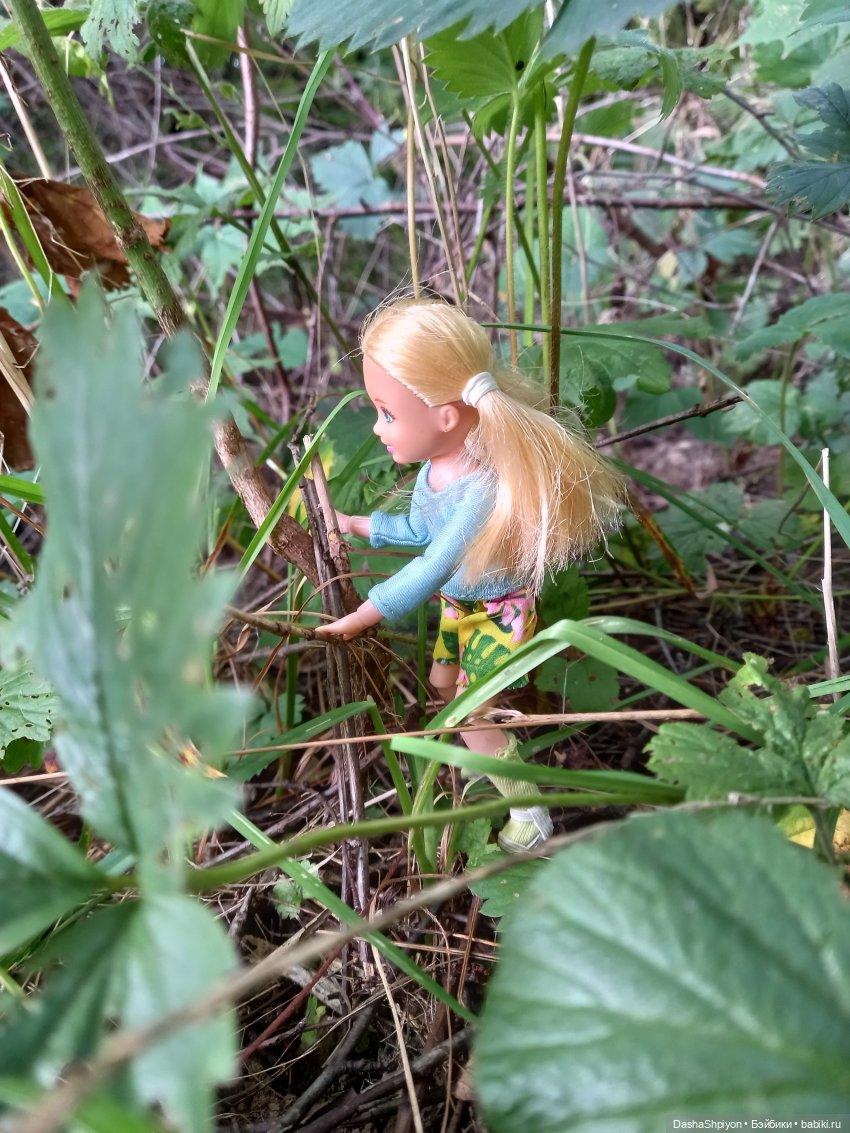 Последние летние дни ☀️🍎🍂