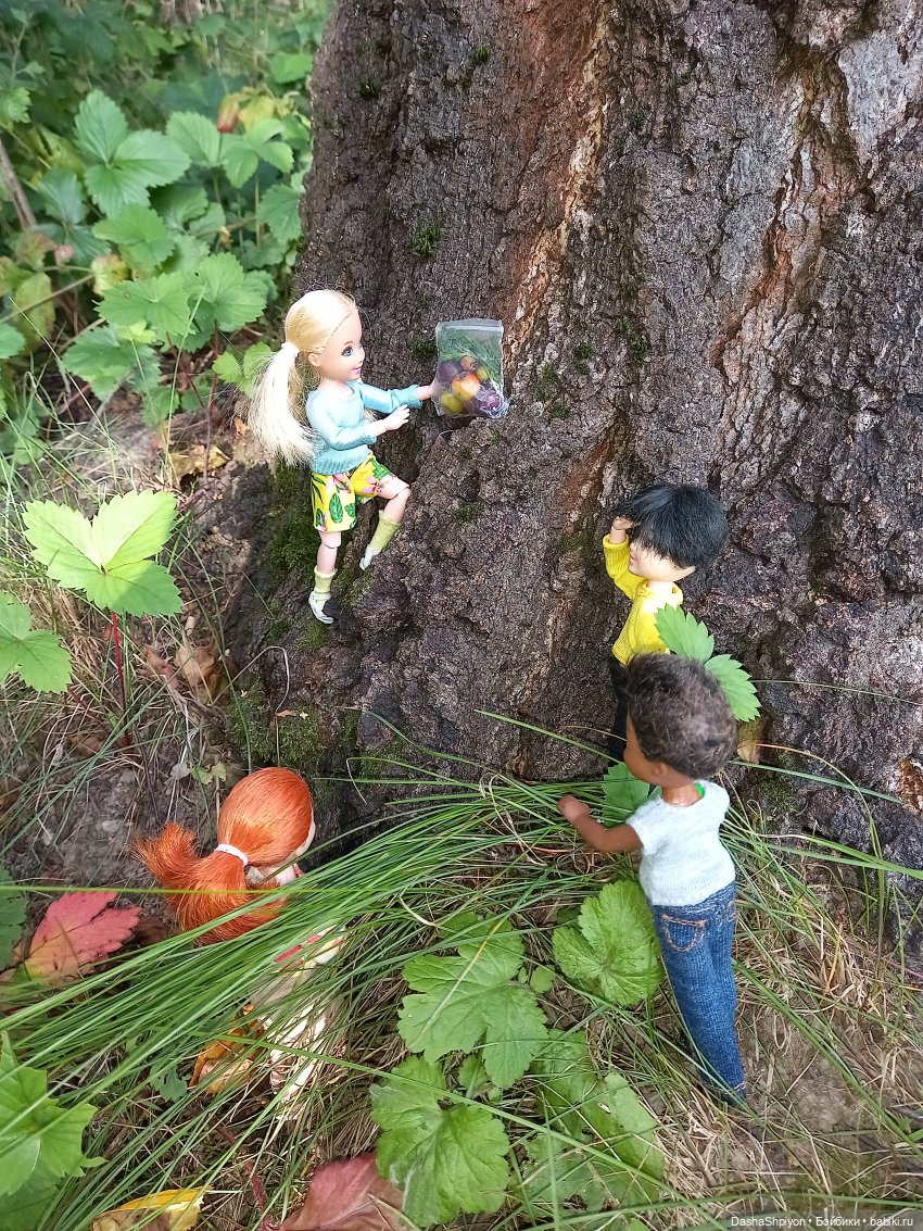 Последние летние дни ☀️🍎🍂