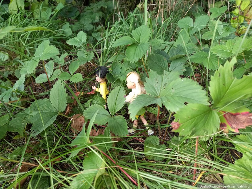 Последние летние дни ☀️🍎🍂