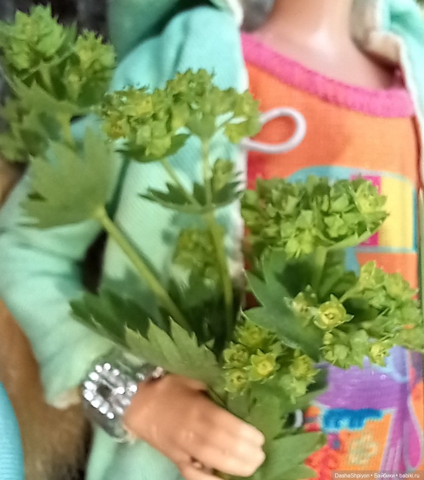 Последние летние дни ☀️🍎🍂