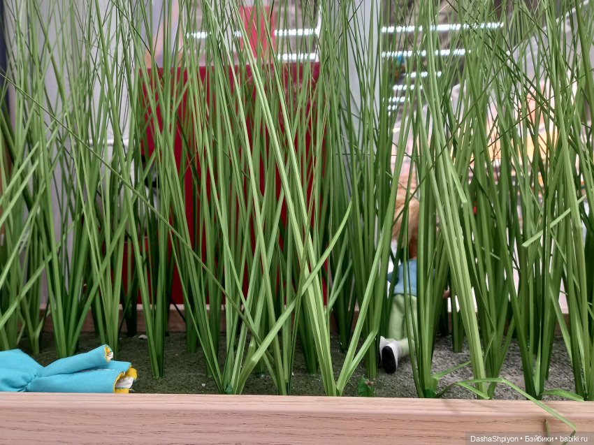 Причёска Сайили и Ашан 🌿🌱