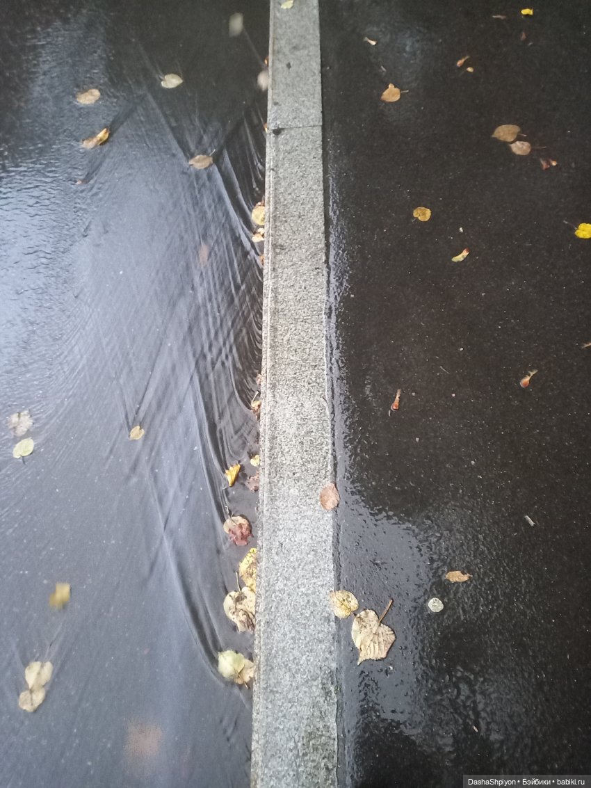 🌱Причёска для новенькой и осенний дождь 🍂🌧️🍁