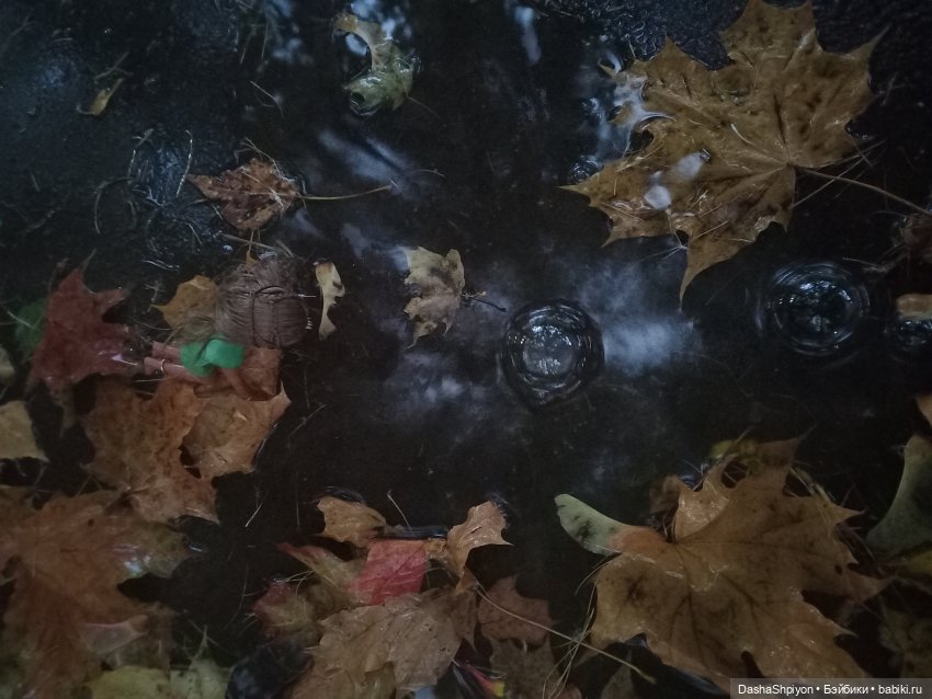 🌱Причёска для новенькой и осенний дождь 🍂🌧️🍁