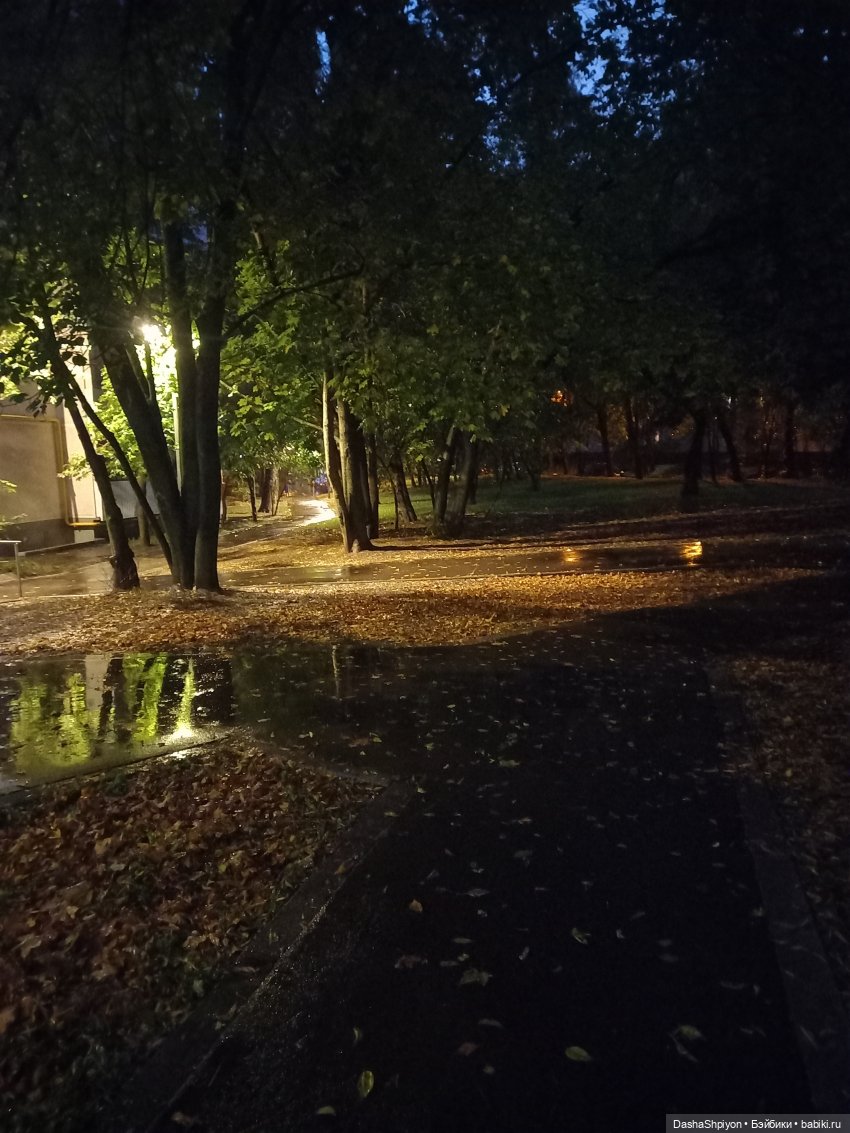 🌱Причёска для новенькой и осенний дождь 🍂🌧️🍁