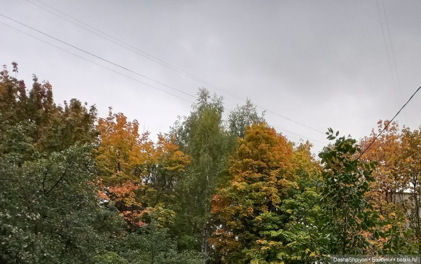 🌱Причёска для новенькой и осенний дождь 🍂🌧️🍁