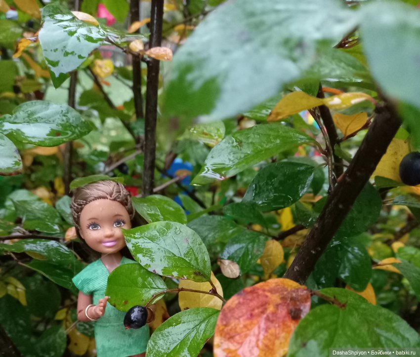 🌱Причёска для новенькой и осенний дождь 🍂🌧️🍁