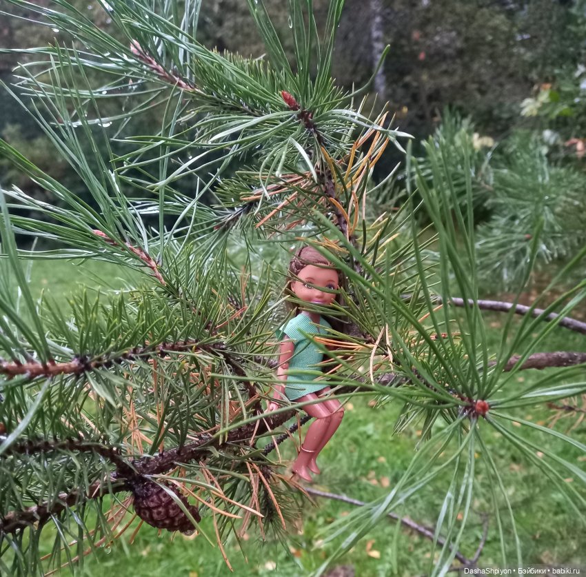 🌱Причёска для новенькой и осенний дождь 🍂🌧️🍁