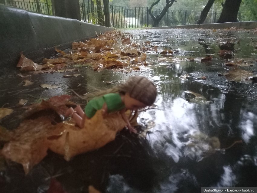 🌱Причёска для новенькой и осенний дождь 🍂🌧️🍁