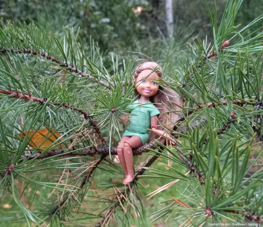 🌱Причёска для новенькой и осенний дождь 🍂🌧️🍁