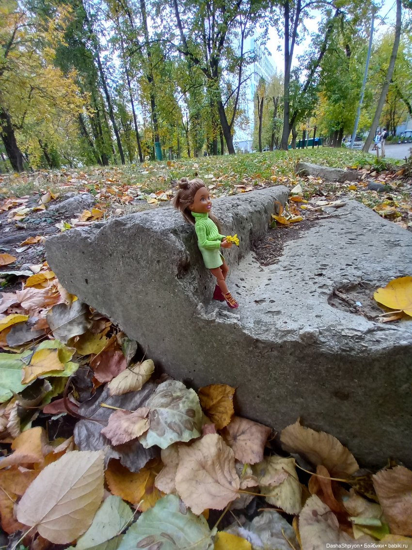 Осенние деревья и дупла 🍂🌳🪵 (фото 3)