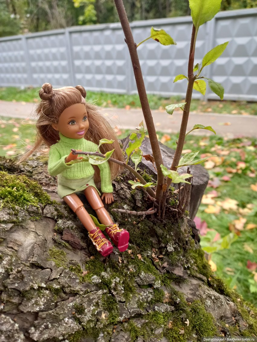 Осенние деревья и дупла 🍂🌳🪵