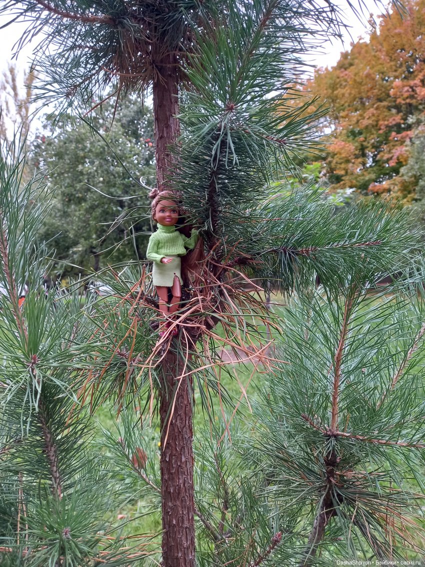 Осенние деревья и дупла 🍂🌳🪵 (фото 2)