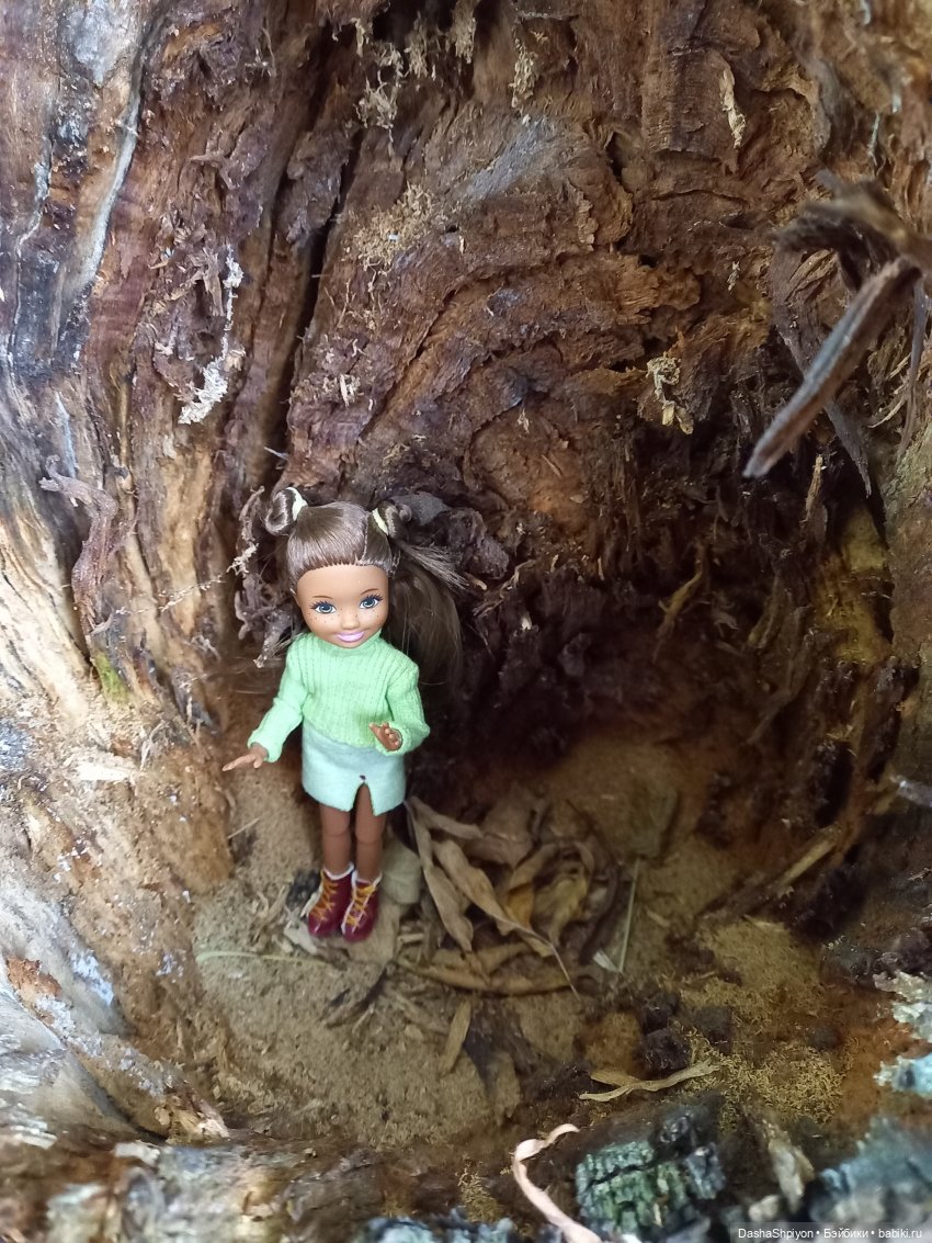 Осенние деревья и дупла 🍂🌳🪵