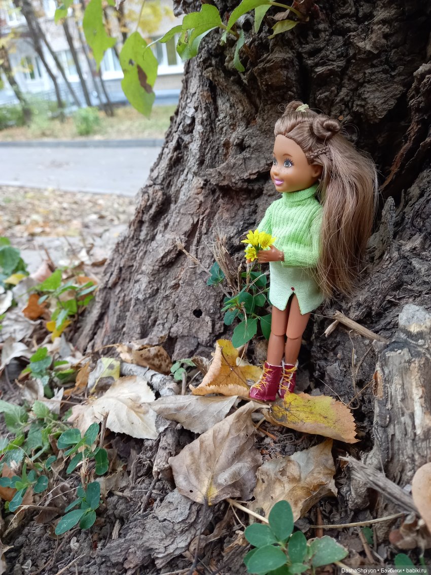 Осенние деревья и дупла 🍂🌳🪵 (фото 5)