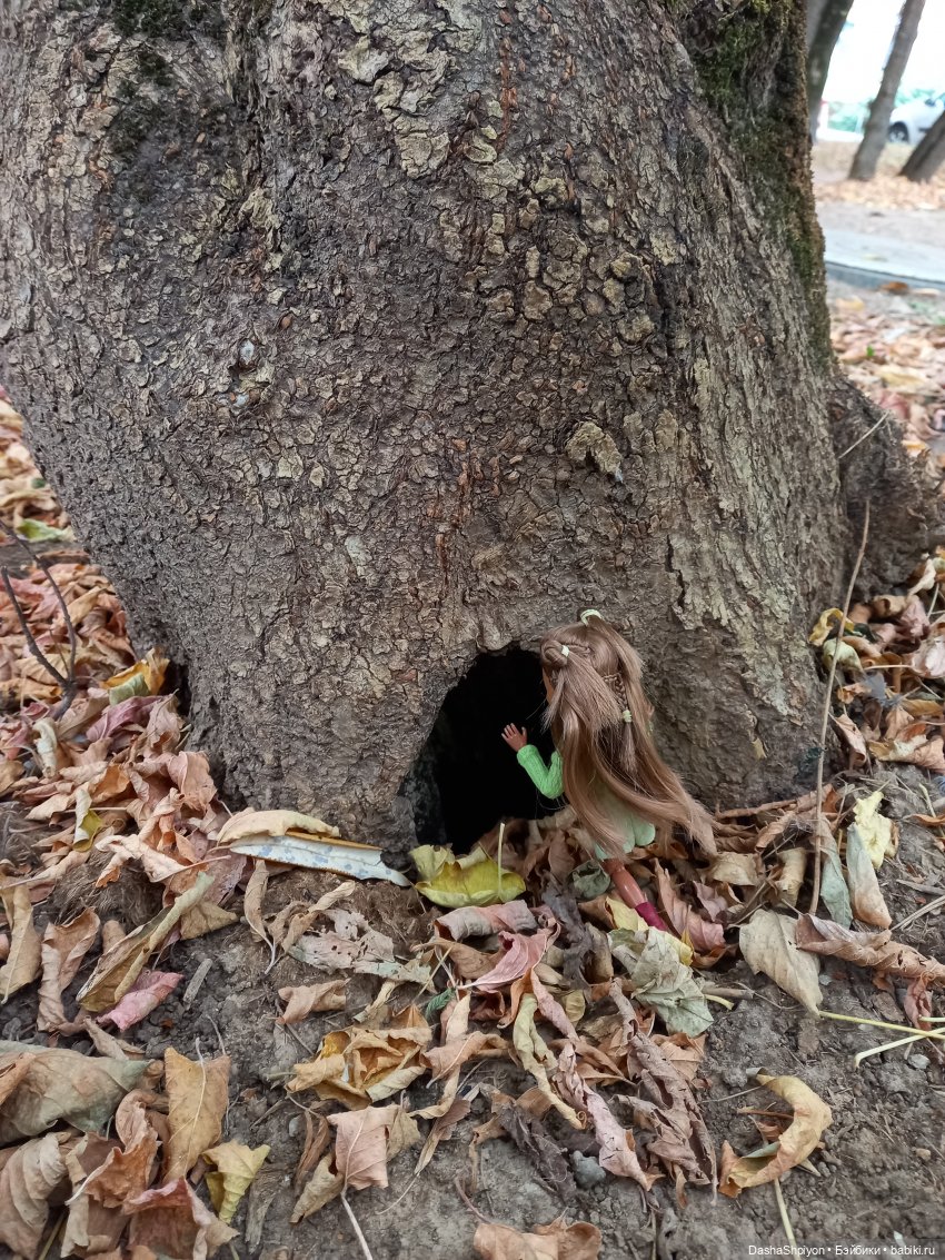 Осенние деревья и дупла 🍂🌳🪵