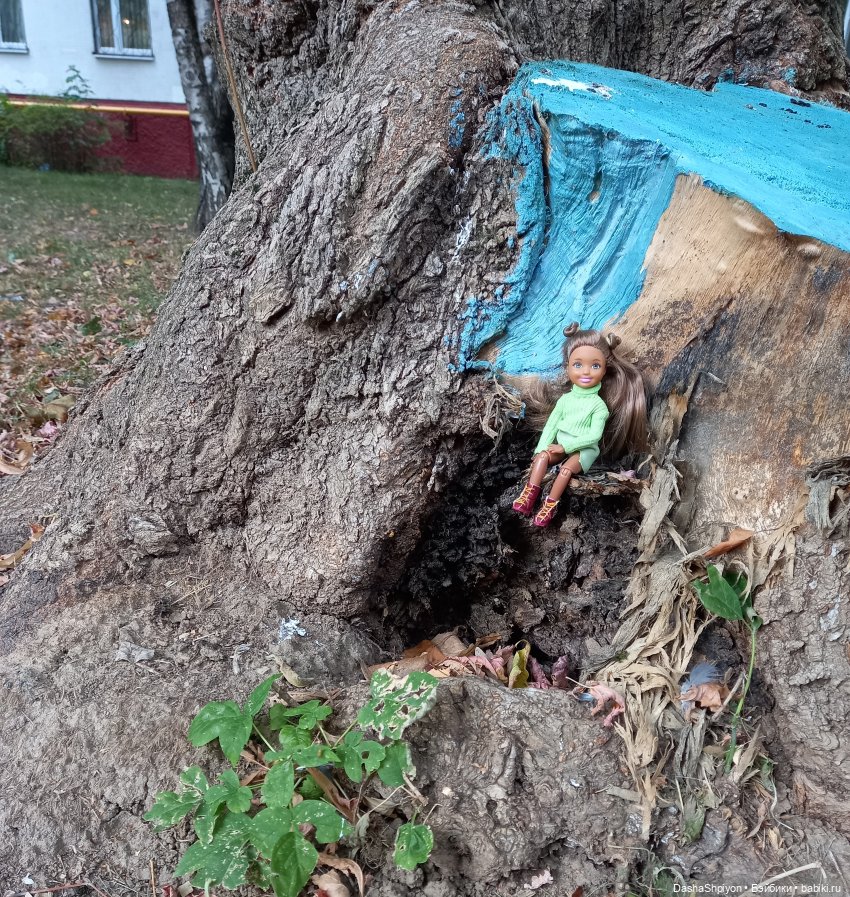 Осенние деревья и дупла 🍂🌳🪵