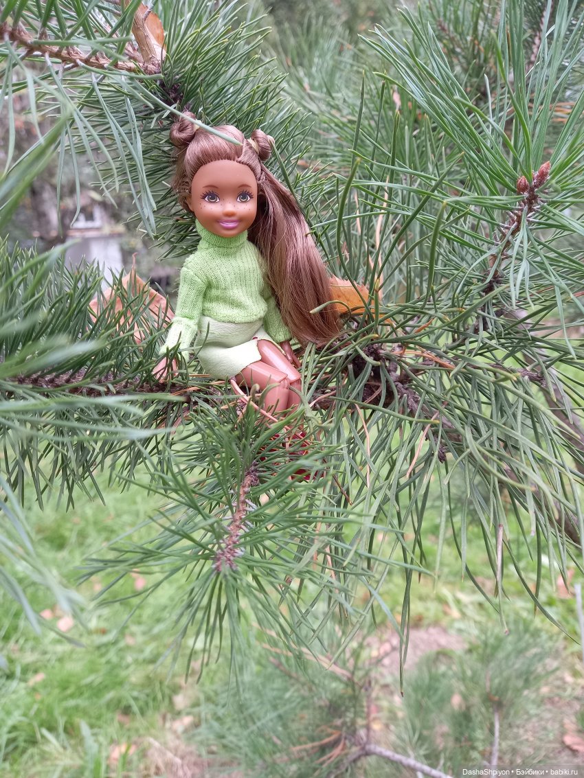 Осенние деревья и дупла 🍂🌳🪵