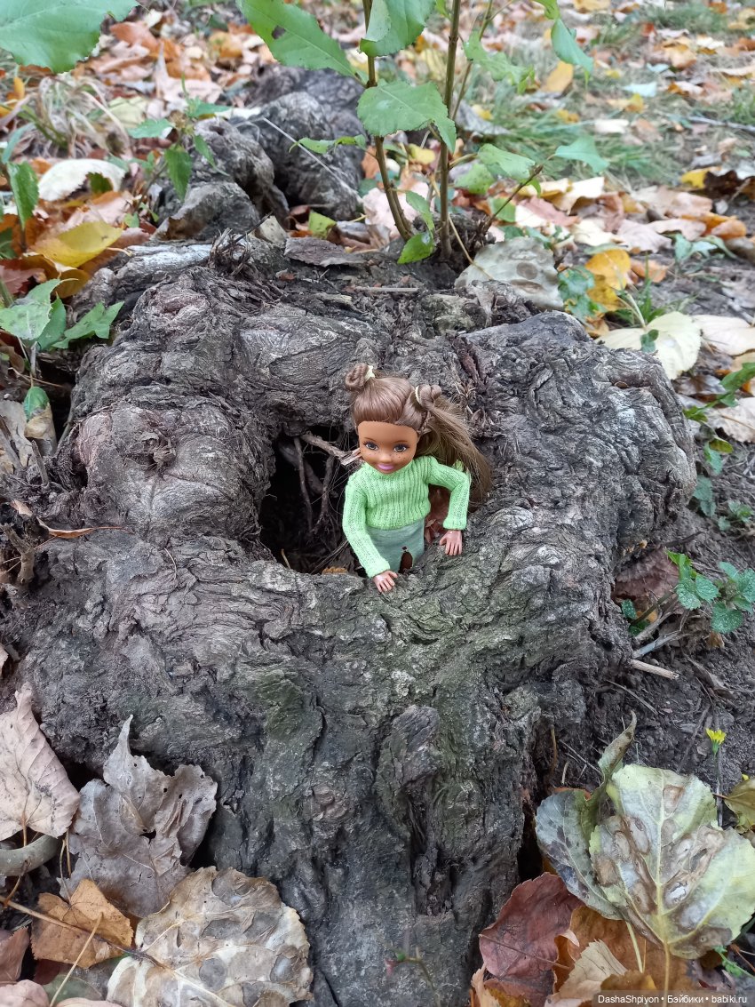 Осенние деревья и дупла 🍂🌳🪵 (фото 6)