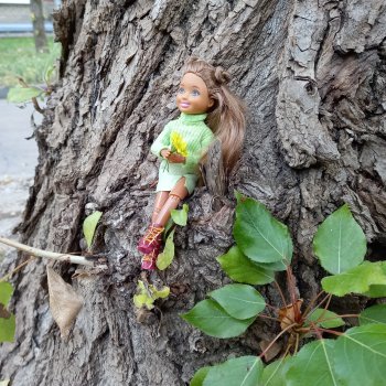 Осенние деревья и дупла 🍂🌳🪵