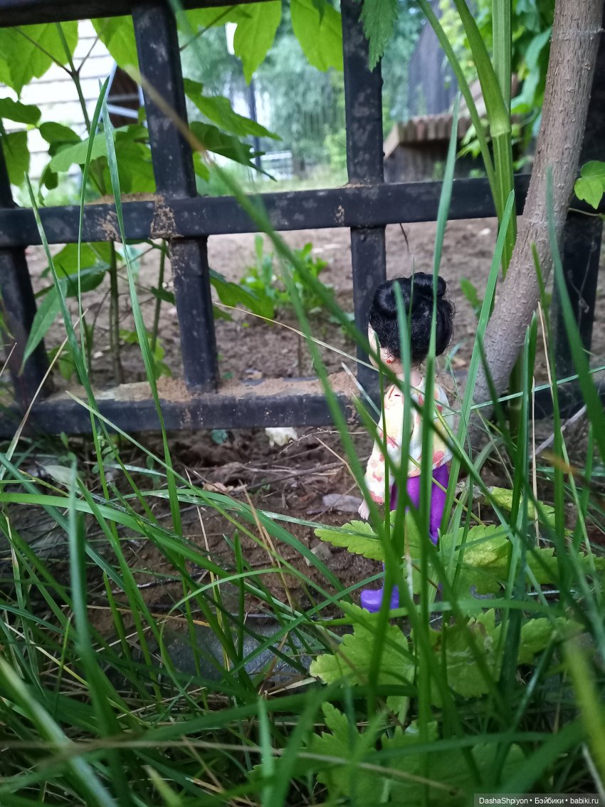 Однажды летом после дождя 🌧️🌳🌾 (фото 8)