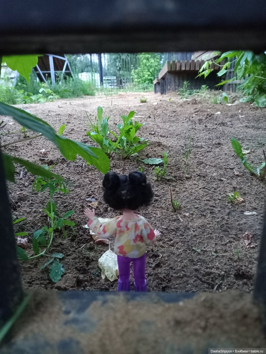 Однажды летом после дождя 🌧️🌳🌾